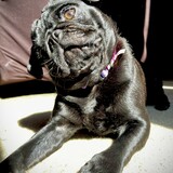 Entry image for Adlee Marie