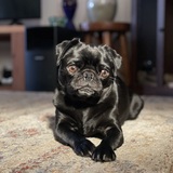 Entry image for Betty