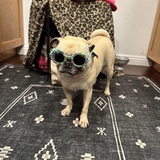 Entry image for Winnie