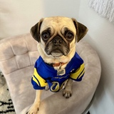 Entry image for Winnie