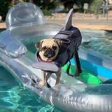 Entry image for Winnie