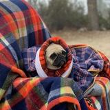 Entry image for Winnie