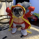 Entry image for Winnie