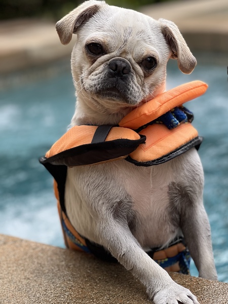 Entry image for Teagan. Clicking this image will show a larger photo