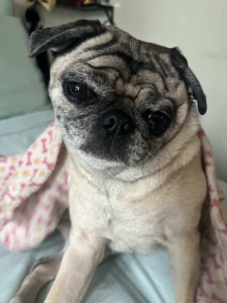 Entry image for Gori Krueger. Clicking this image will show a larger photo