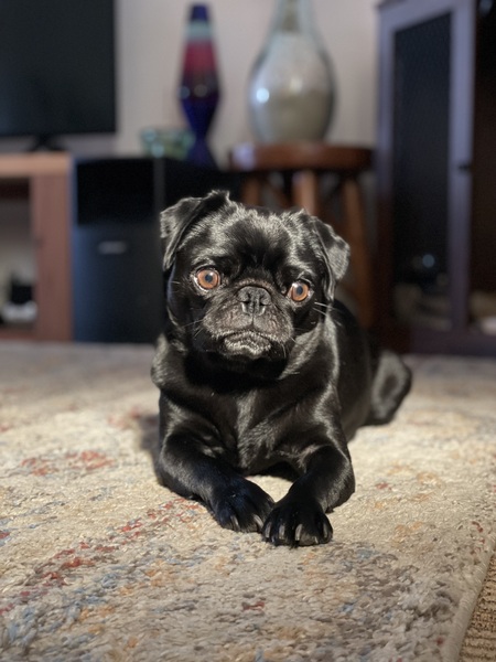 Entry image for Betty. Clicking this image will show a larger photo