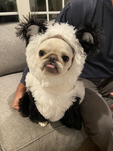 Entry image for Dune. Clicking this image will show a larger photo