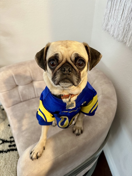 Entry image for Winnie. Clicking this image will show a larger photo