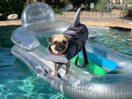 Entry image for Winnie. Clicking this image will show a larger photo