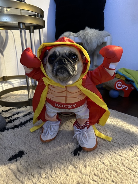 Entry image for Winnie. Clicking this image will show a larger photo