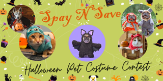 Banner for 🎃👻Spay N Save Pet Costume Contest!🐾