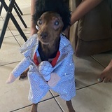 Entry image for Ratchet
