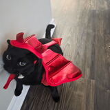 Entry image for Nibbler