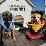 Entry image for Chapo and Mocca 