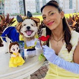 Entry image for Seymour 