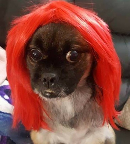 Entry image for Marceline. Clicking this image will show a larger photo