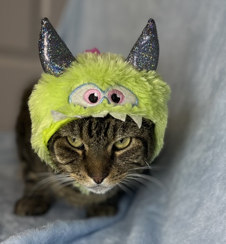 Entry image for Bilbo Baggins (a monster!). Clicking this image will show a larger photo