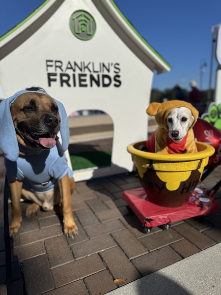 Entry image for Chapo and Mocca . Clicking this image will show a larger photo