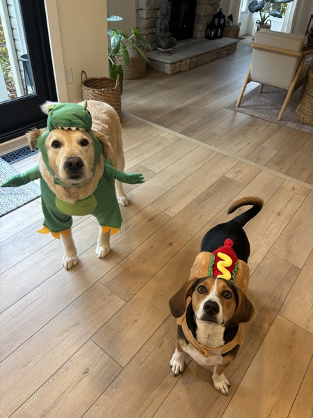 Entry image for Maui and Bo. Clicking this image will show a larger photo