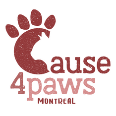 Logo for 3rd Annual Gimme Shelter Cat and Dog Photo Contest