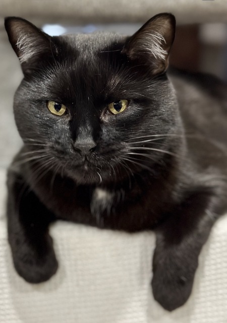 Entry image for Timmy. Clicking this image will show a larger photo