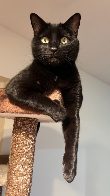 Entry image for Whiskey . Clicking this image will show a larger photo