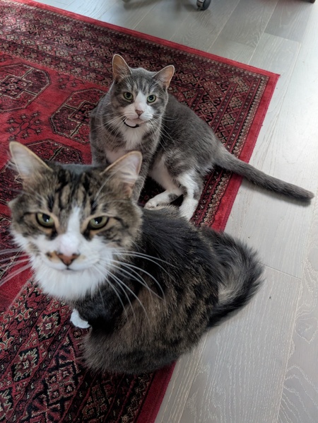 Entry image for Benni and Lou. Clicking this image will show a larger photo