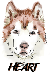 Logo for Four Seasons of Floof 2026 Calendar Photo Contest