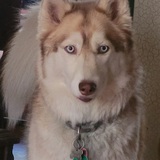 Entry image for Keely