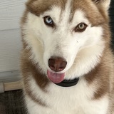 Entry image for Natty