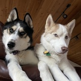Entry image for Rio and Luda (Ludacris) 