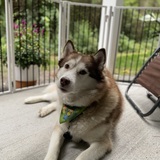 Entry image for Meeka Grace 