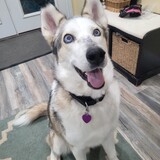 Entry image for Bodie