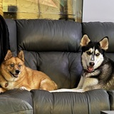 Entry image for Jaycey and Princess 