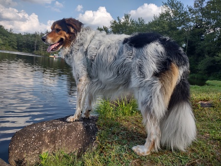 Entry image for Gage. Clicking this image will show a larger photo