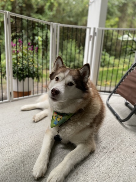 Entry image for Meeka Grace . Clicking this image will show a larger photo