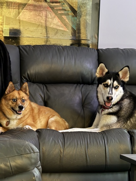 Entry image for Jaycey and Princess . Clicking this image will show a larger photo