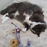 Entry image for Zachary