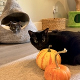 Entry image for Sancerre & Rosé