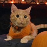 Entry image for Calcifer