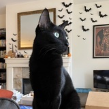 Entry image for Loki