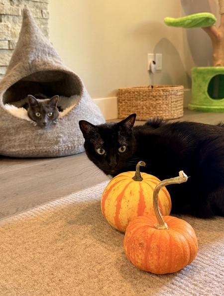 Entry image for Sancerre & Rosé. Clicking this image will show a larger photo