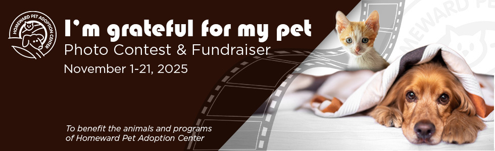 Banner for I'm Grateful for my Pet Photo Contest and Fundraiser