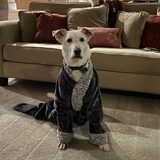 Entry image for lucky