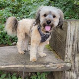 Entry image for Barley