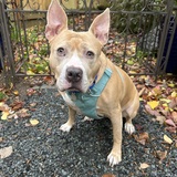 Entry image for Donnie