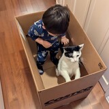 Entry image for DaBaby