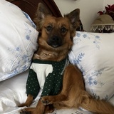 Entry image for Haru