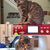 Entry image for Two of The Seven Dwarfs 