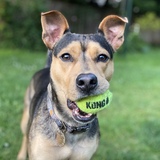 Entry image for Bosco